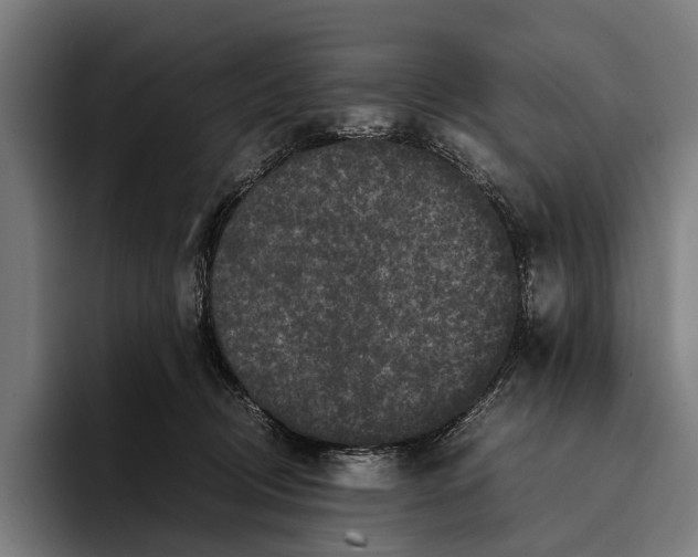 X0000093370370200711081529