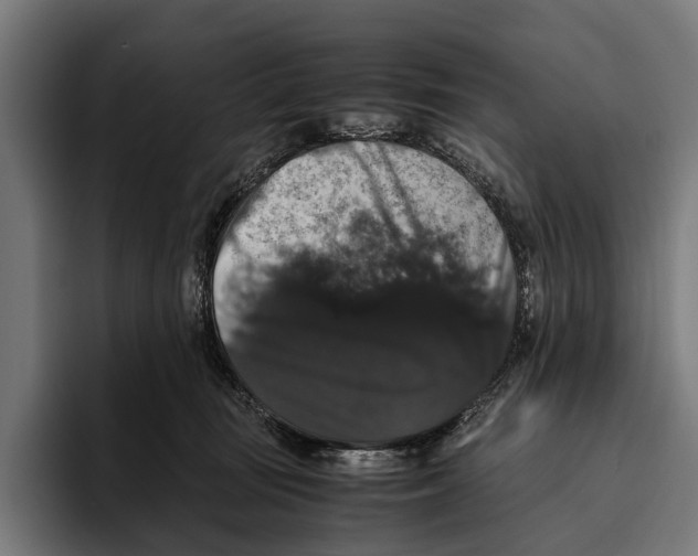 X0000093370371200711081529