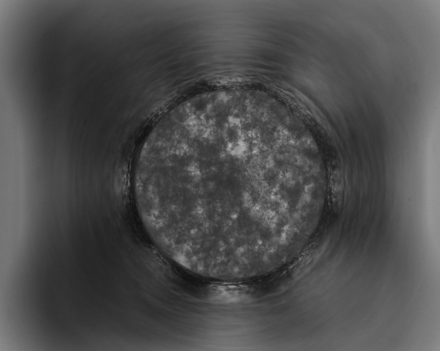 X0000093370372200711081529