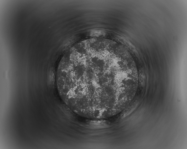 X0000093370375200711081529
