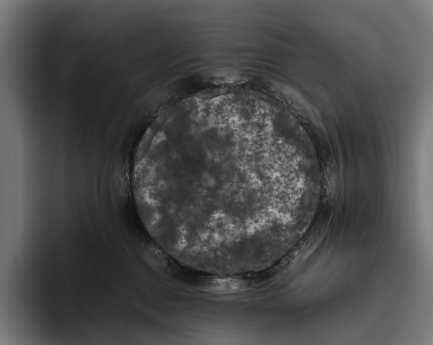 X0000093370376200711081529