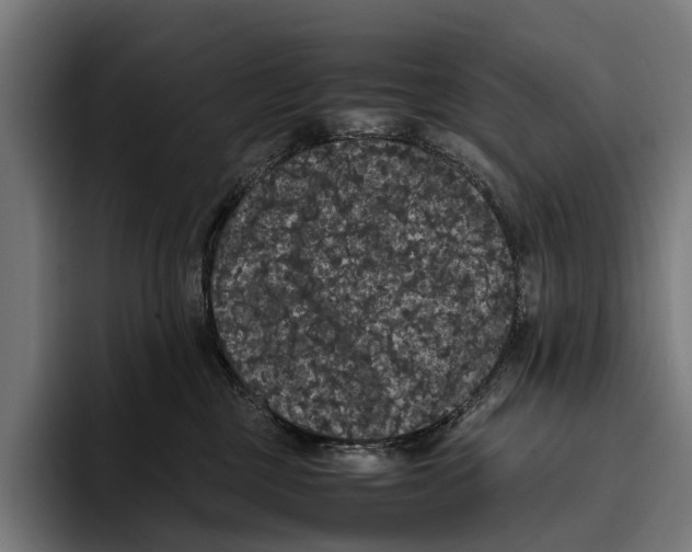X0000093370377200711081529