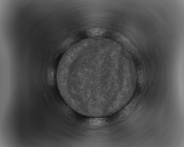 X0000093370378200711081530