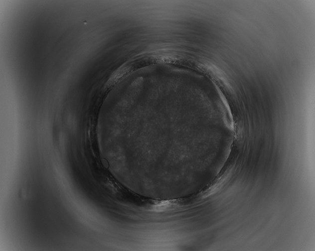 X0000093370382200711081530