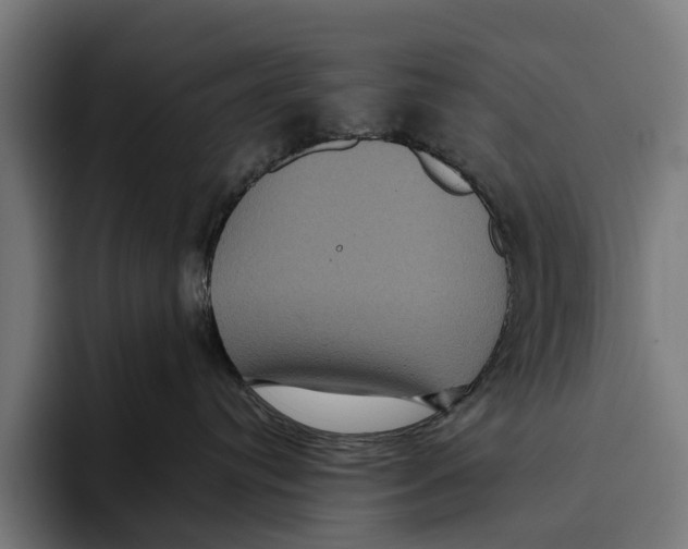 X0000093370384200711081530