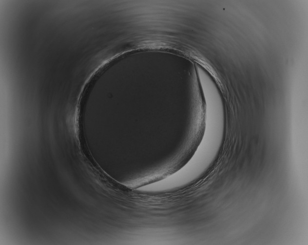 X0000093370387200711081529