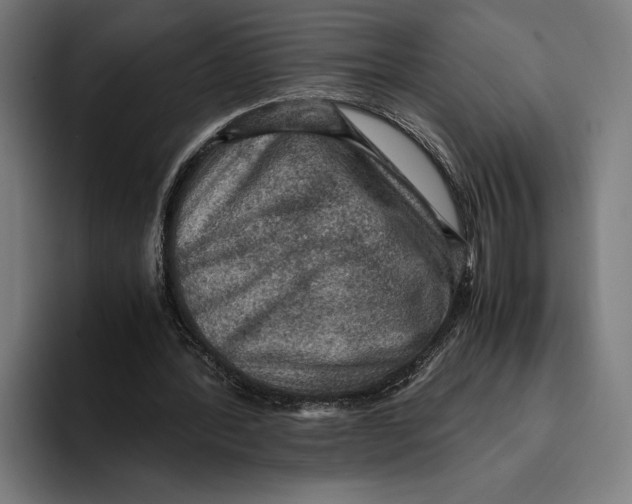 X0000093370388200711081529
