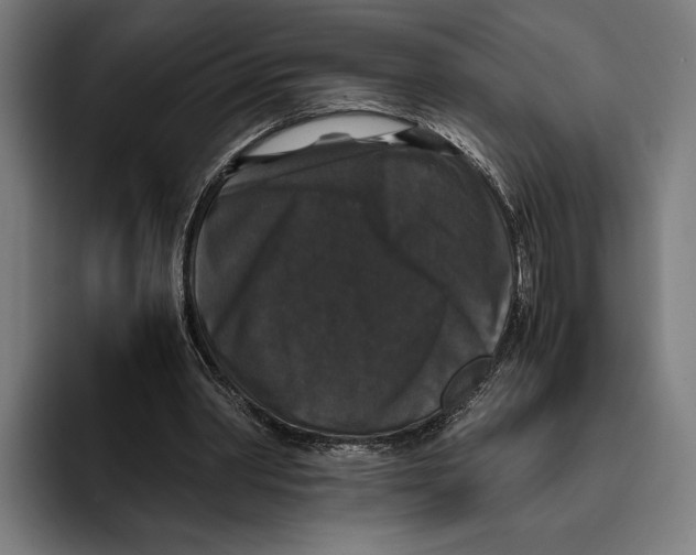 X0000093370390200711081529