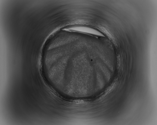 X0000093370392200711081529