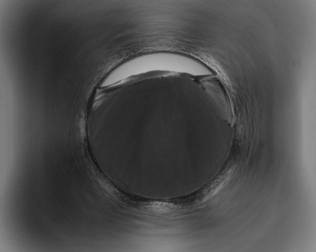 X0000093370393200711081529