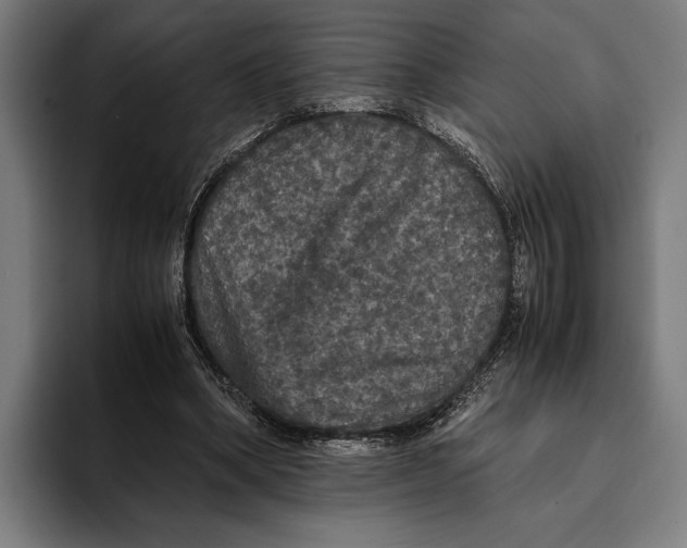 X0000093370394200711081529