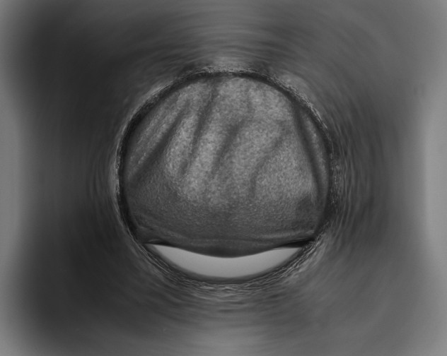 X0000093370395200711081529