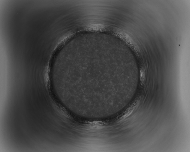 X0000093370396200711081529