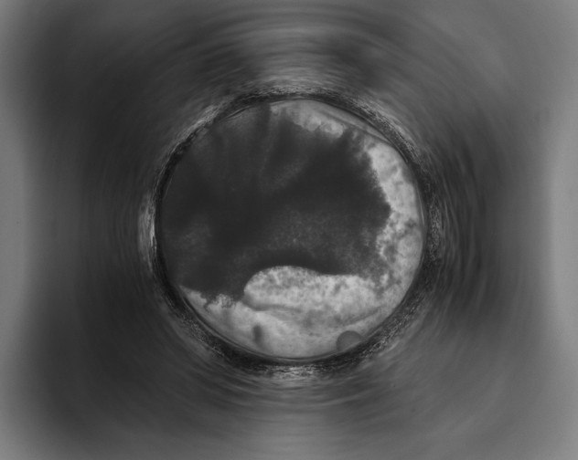 X0000093370398200711081529