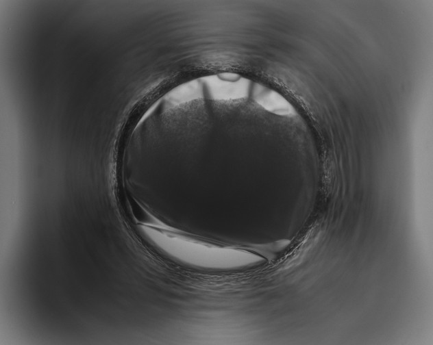 X0000093370399200711081529