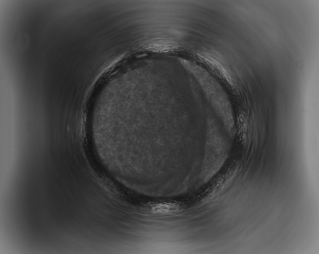 X0000093370400200711081529