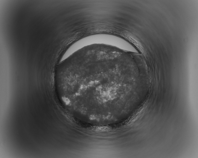 X0000093370401200711081529