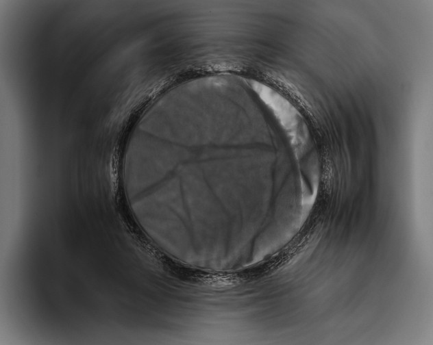 X0000093370402200711081529