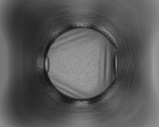 X0000093370403200711081529