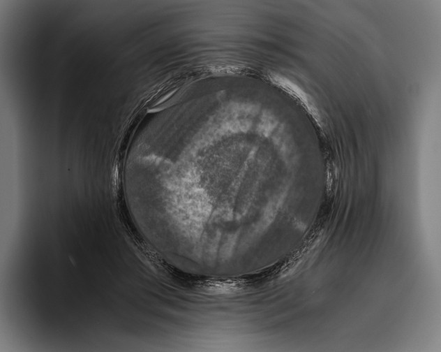 X0000093370405200711081529