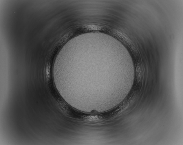 X0000093370406200711081529