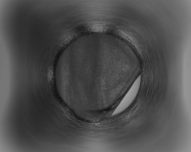 X0000093370407200711081529