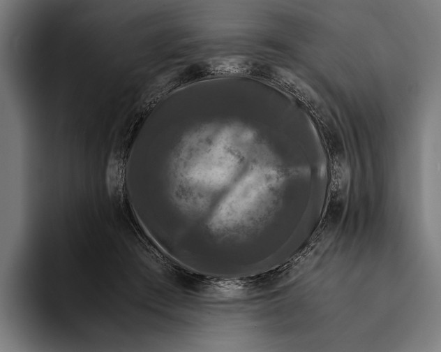 X0000093370409200711081529