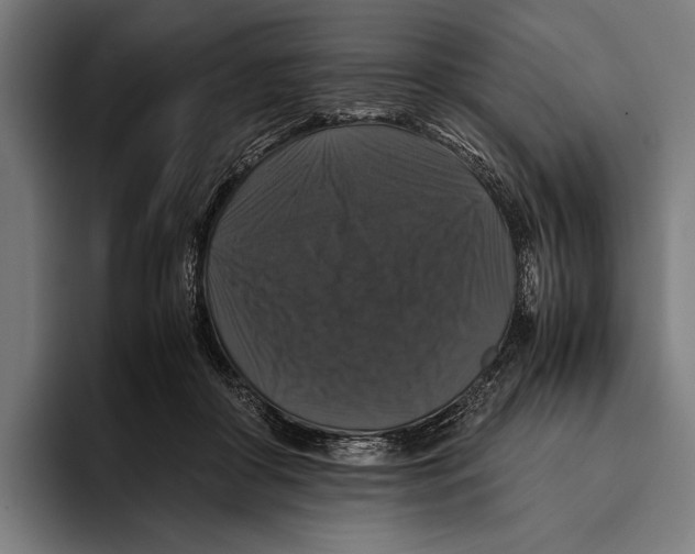 X0000093370410200711081529