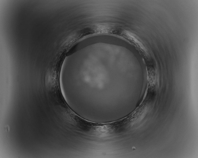 X0000093370411200711081529
