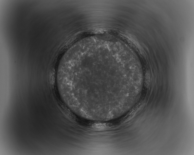 X0000093370413200711081529
