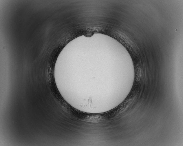 X0000093370414200711081529