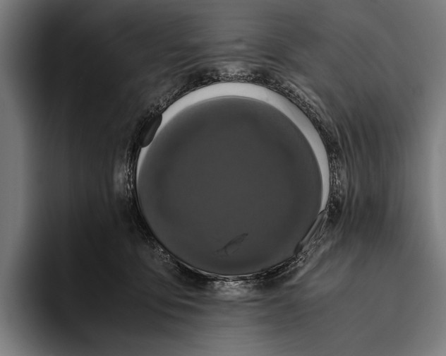 X0000093370419200711081529