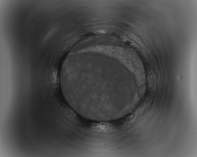 X0000093370420200711081529
