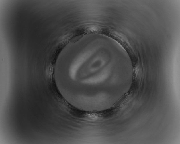 X0000093370423200711081528
