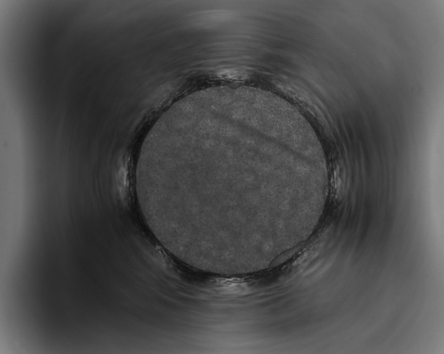 X0000093370424200711081528