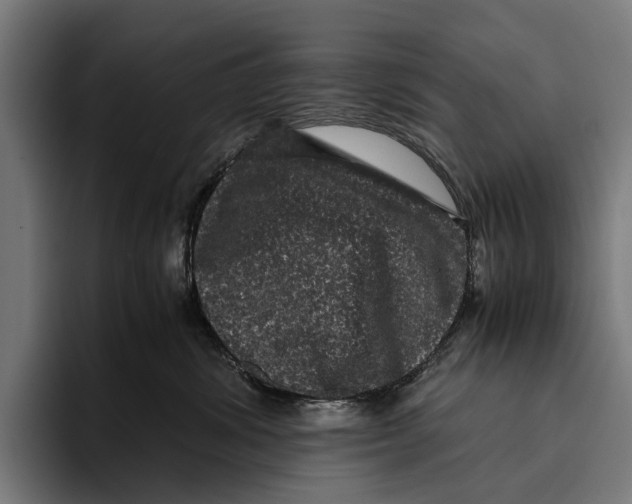 X0000093370428200711081528