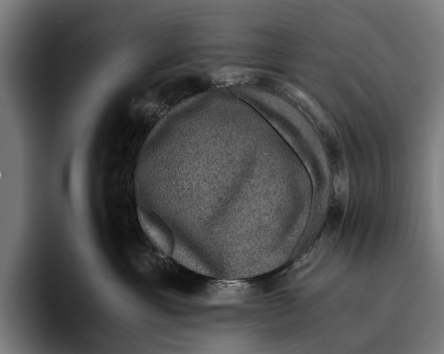 X0000093370429200711081528