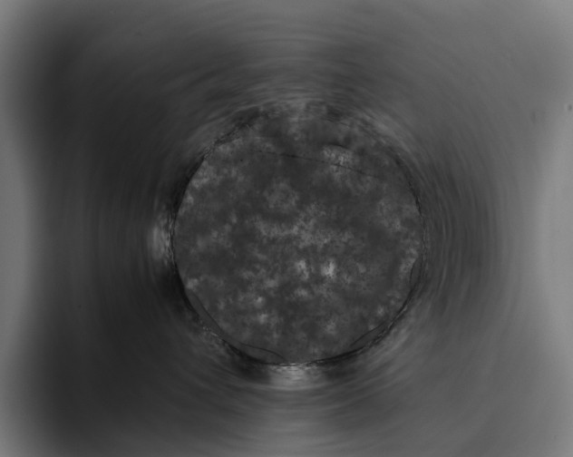 X0000093370432200711081528