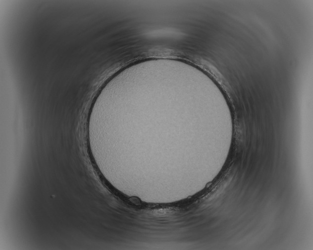 X0000093370433200711081528