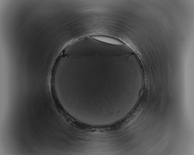 X0000093370434200711081528