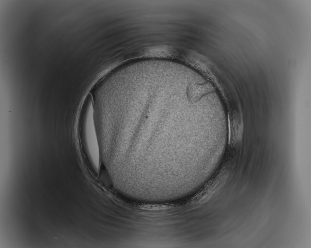 X0000093370435200711081528