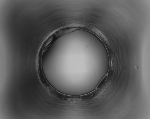 X0000093370436200711081528