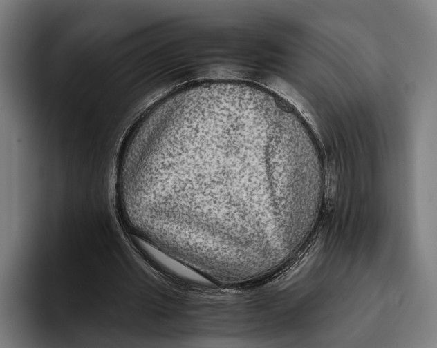 X0000093370437200711081528