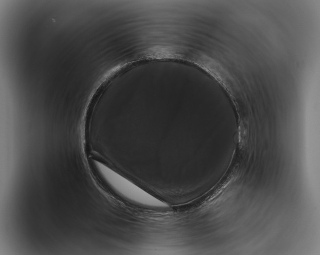 X0000093370438200711081528