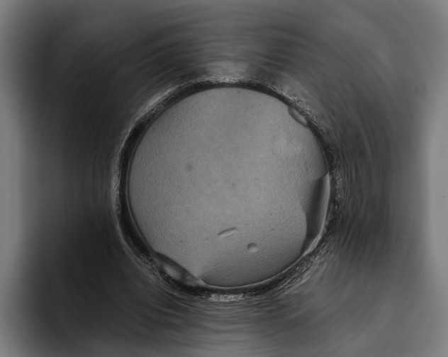 X0000093370440200711081528