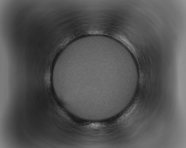 X0000093370441200711081528