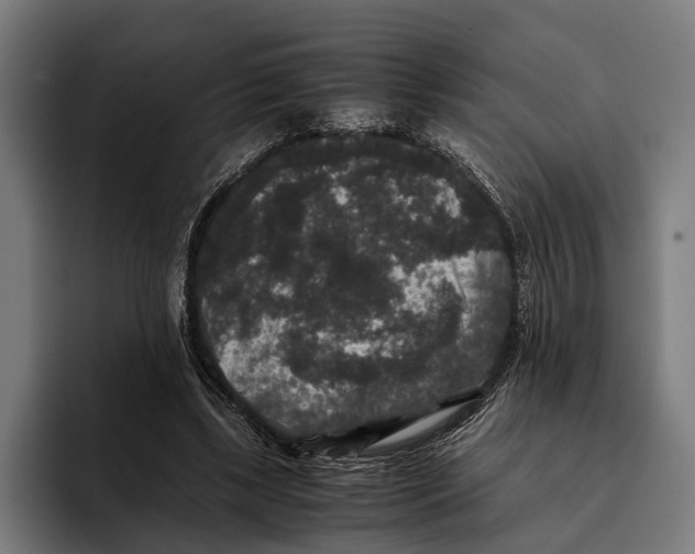 X0000093370443200711081528