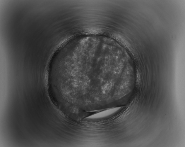 X0000093370444200711081528