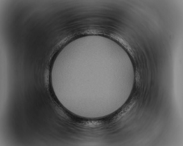 X0000093370445200711081528