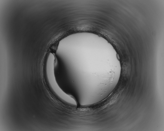 X0000093370446200711081528